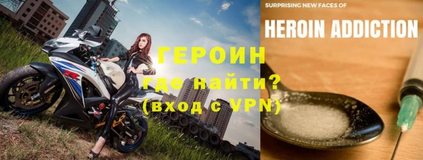прущие грибы Алзамай